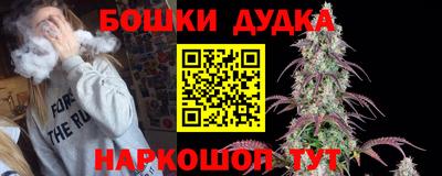 ешки Камышлов