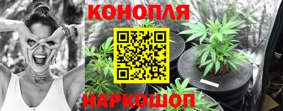 спиды Кандалакша