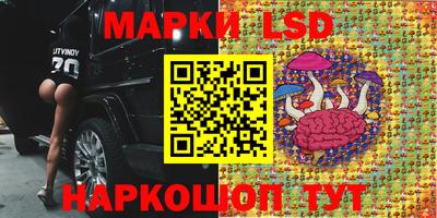 ГАЛЛЮЦИНОГЕННЫЕ ГРИБЫ Канаш